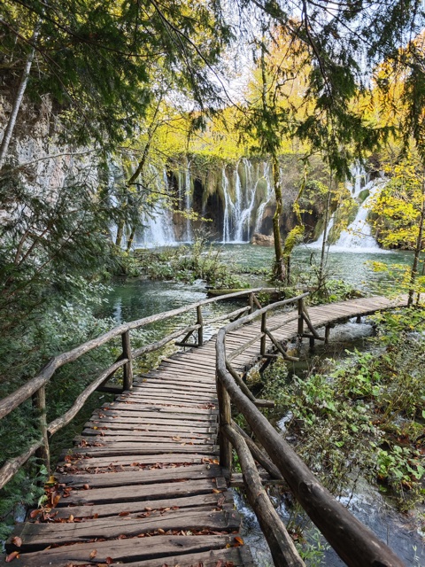 Plitvice Lakes detail shot